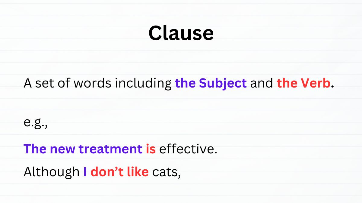 An educational slide defining a clause as a set of words including a subject and a verb. Example sentences: “The new treatment is effective.” and “Although I don’t like cats,”.